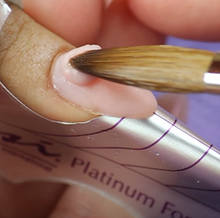 Load image into Gallery viewer, NSI Kolinsky Brushes- Acrylic